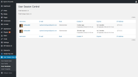 User Session Synchronizer