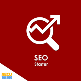 SEO starter service