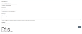 SVG Captcha